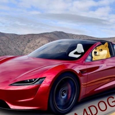 ELON'S PERSONAL GUARD DOGE #abovewallstreet 
#Dogecoinarmy #dogoodeveryday 🚀🌕💎🤲❤🌍

 DSqpnawaVLQUG64mgY5MeW8g8j3o8eQrsS

 #DOGECOIN