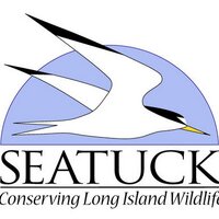 Seatuck (@seatuckenvassoc) 's Twitter Profile