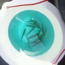 Blake bryan - @BlakeSnake68 - Twitter