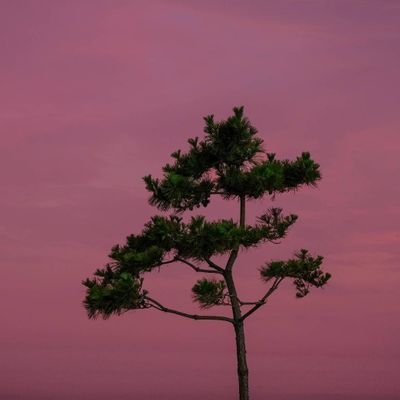 trashtani's profile picture. 24/7 Overthinking