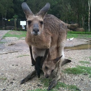 konoha124's profile picture. 小説好きの呟き魔。 他にもゲームマンガアニメなんでも好き。ゲームをこよなく愛し、ff14に生息することを決めた。そしてモンハンの世界に生まれ出ずる。ff14鯖 shinryu キャラ名 Misha Ruinheat