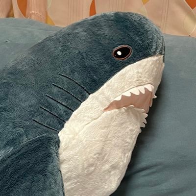 限界もちもちおばけさんのプロフィール画像