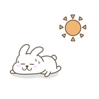 soramame1271's profile picture. 40代既婚。
妻と娘と仕事と友人と読書と漫画とBUMPで成り立ってます。