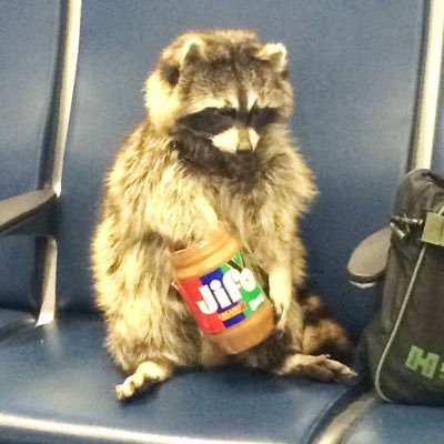 dummyyerr's profile picture. 