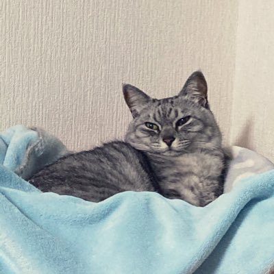 mfmf_sky78's profile picture. '97/青陵67/熊本5年目