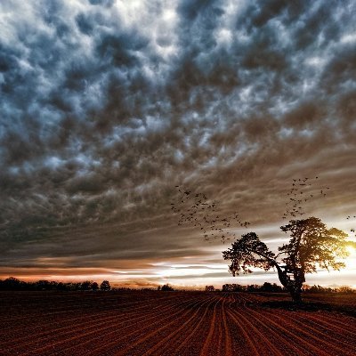 Deep dives into climate news, science, and policy analysis from the Climate Change Institute. For the thinkers and changemakers. 🌱📰 #ClimateChange