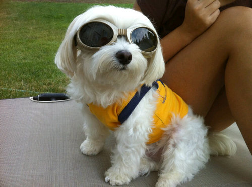 4Vernie's profile picture. $LS69  "Really I'm just here for the jokes and laughs"