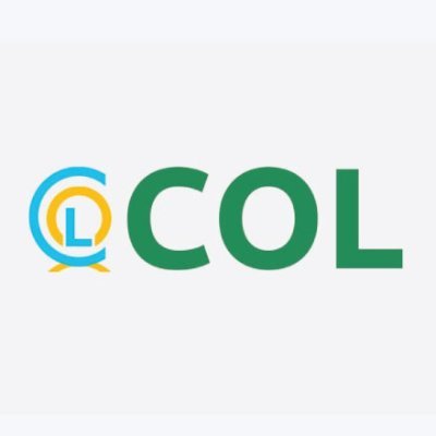 coliquidations Profile Picture