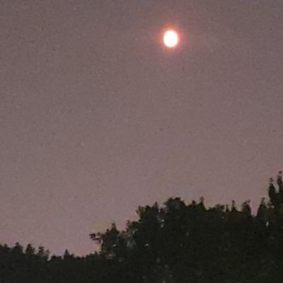 pepsi12pac's profile picture. https://t.co/iXOme57X1Z