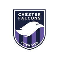 Chester Falcons Futsal Club (@chesterfalcons) 's Twitter Profile Photo Chester Falcons Futsal Club (@chesterfalcons) 's Twitter Profile Photo