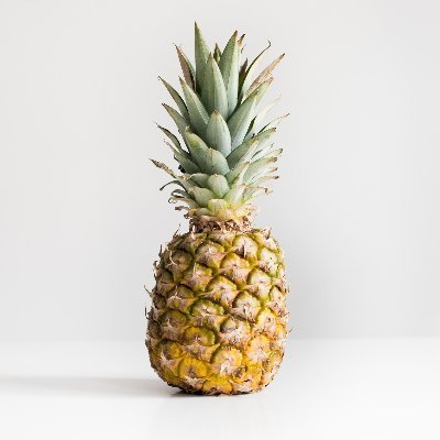 bitcoin
pineapples
full stop