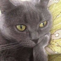 HonkerCrypto (@honker8008135) 's Twitter Profile Photo HonkerCrypto (@honker8008135) 's Twitter Profile Photo