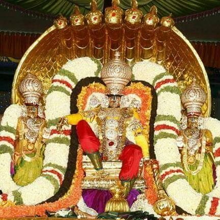 MUTHUKU89981264's profile picture. 28121994