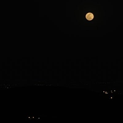 9mt134's profile picture. بالثبات ترتقي..،