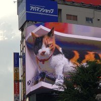 みのり(ぼん) (@carboning) 's Twitter Profile