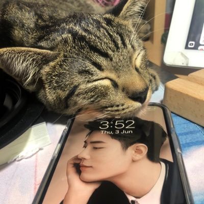 Aris01189580's profile picture. Every thing OK 肖战xiaozhan 💚⚡️wangyibo王一博