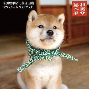 拡散ドッグ🐶さんのプロフィール画像