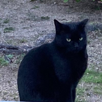 o3i9YPDPHjEIdsX's profile picture. ポイ活、投資情報収集中