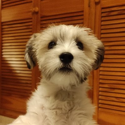 argc99's profile picture. 