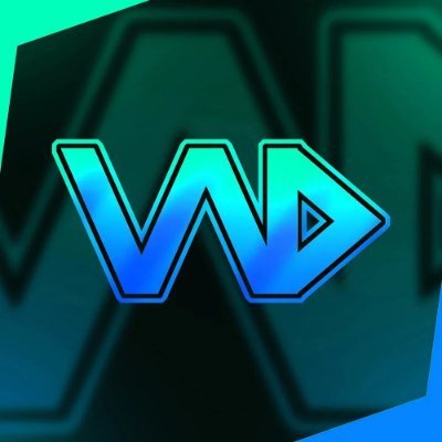 VND E-SPORTS Profile