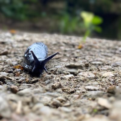 JorFlau's profile picture. Me encanta la música🎶 los videojuegos 🎮 las series🍿, la lectura📚 y la buena gente ☺️pero no en ese orden.