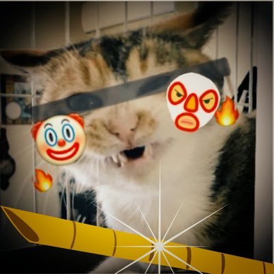 せいはるさんのプロフィール画像