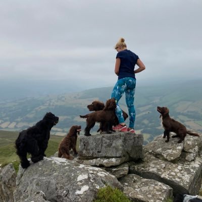 Small animal vet in South Wales. Spaniel & mountain addict. Supporter of the best rugby team in the world 🏉🏴󠁧󠁢󠁷󠁬󠁳󠁿 Gog & Cymraes