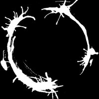 Hepta (@heptapodae) 's Twitter Profile Photo Hepta (@heptapodae) 's Twitter Profile Photo