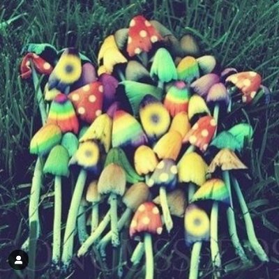 @nichtvermietbar