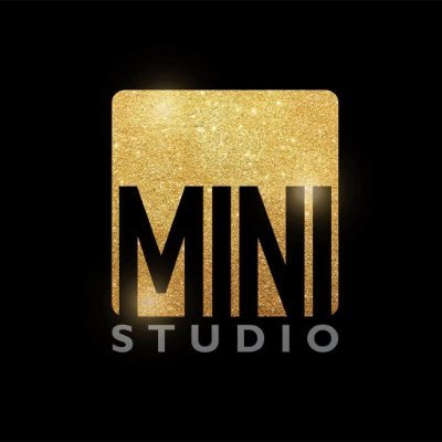 Mini Studios LLP