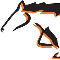 Meadowbrook HS (@mhscolts) 's Twitter Profile