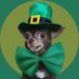 녹색멍멍 🐾💚 (@greendoggo29) Twitter profile photo 녹색멍멍 🐾💚 (@greendoggo29) Twitter profile photo