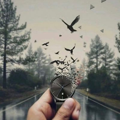 قال أحد الحكماء : الأدب صورة العقل ! فصور عقلك للناس كيف شئت