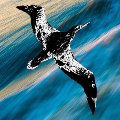 I play games and upload the recordings for fun, nothing else: https://t.co/TNRRp9DWLF
