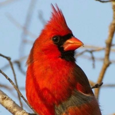 Sean25138673's profile picture. Husband, father, writer, real estate investor, crypto lover, theatre. Doing what I do… with a smile. $XRP $XLM $HBAR $ALGO $VET $BTC