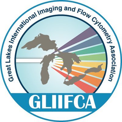 gliifca Profile Picture