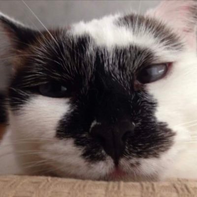 munerf's profile picture. 