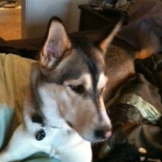 d1960ac's profile picture. 