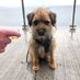 Fin (@macbark) Twitter profile photo Fin (@macbark) Twitter profile photo