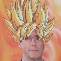 President Lalaland 🇮🇨🇻🇪🇪🇸 (@puigdebolt) 's Twitter Profile