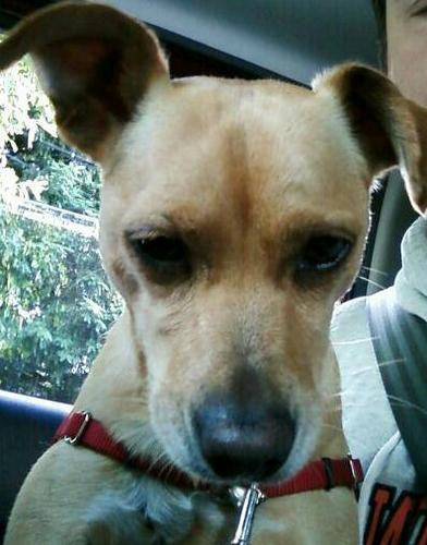 kcgood72's profile picture. 