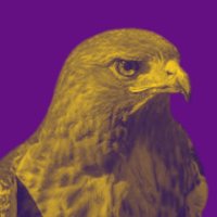 Hobby MS Library (@nisdhobbylib) 's Twitter Profile