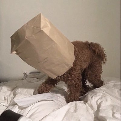 wnmg_seventeen's profile picture. 01line @_4sick めいふぁみ