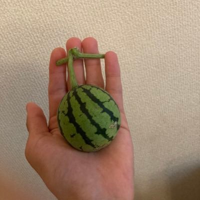 G__05t's profile picture. 18歳 レポートに追われる大学生 大阪の端っこで畑借りて菜園してます！ 花も結構やってます