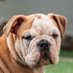 Heights HS Art Bark (@hhsartbark) Twitter profile photo Heights HS Art Bark (@hhsartbark) Twitter profile photo
