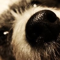 HiimMe27's profile picture. I want to be me! 😍 can't stand liars.