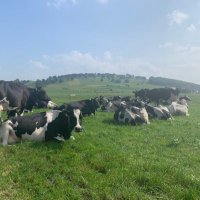 UCD Systems Herd (@ucd_systemsherd) 's Twitter Profile