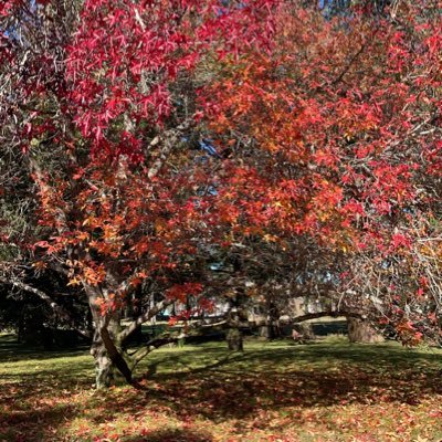 meryann2021's profile picture. 