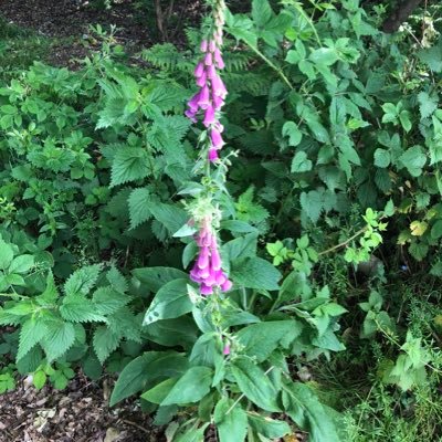 naomi_teasdale's profile picture. 