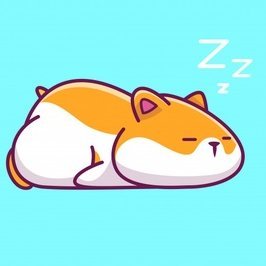 rich_hamster's profile picture. UC Berkeley🧸